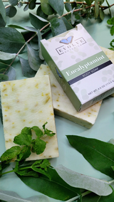 Standard Soap - Eucalyptamint from Evolve Botanica