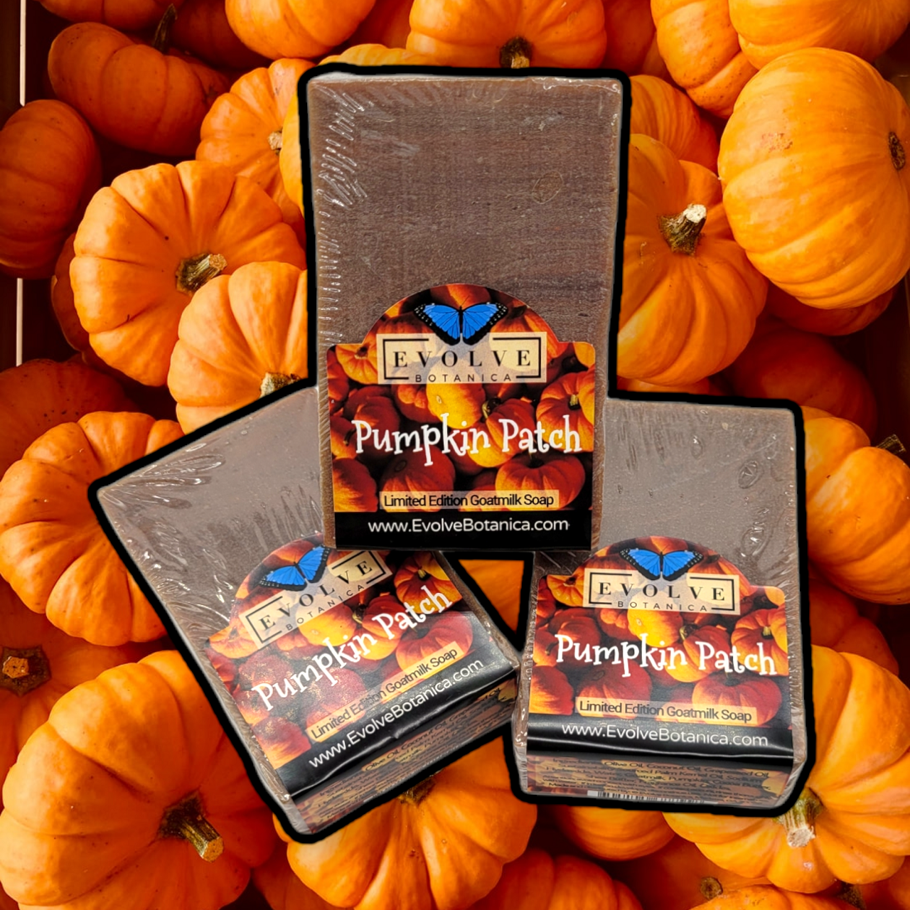 Standard Soap - Pumpkin Patch (Seasonal) from Evolve Botanica