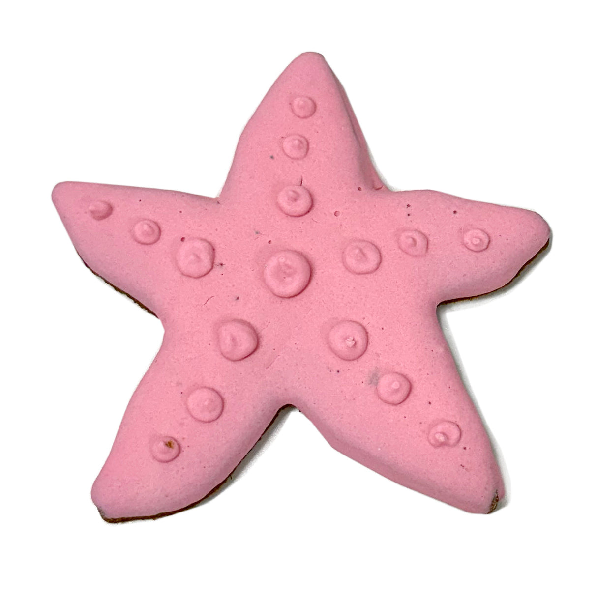 Starfish from Bubba Rose Biscuit Co.