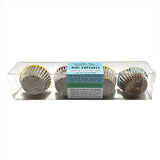 Summer Mini Cupcake Box from Bubba Rose Biscuit Co.