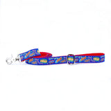 1″ Super Dog Ribbon Dog Leash from 2 Hounds Design