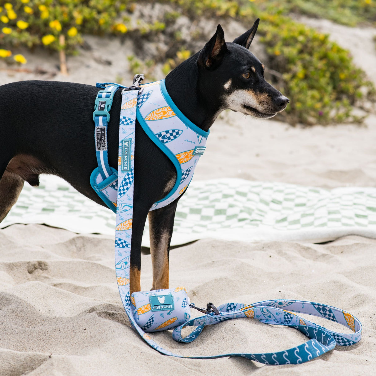 Frenchie Comfort Leash - Surfboard from Frenchie Bulldog
