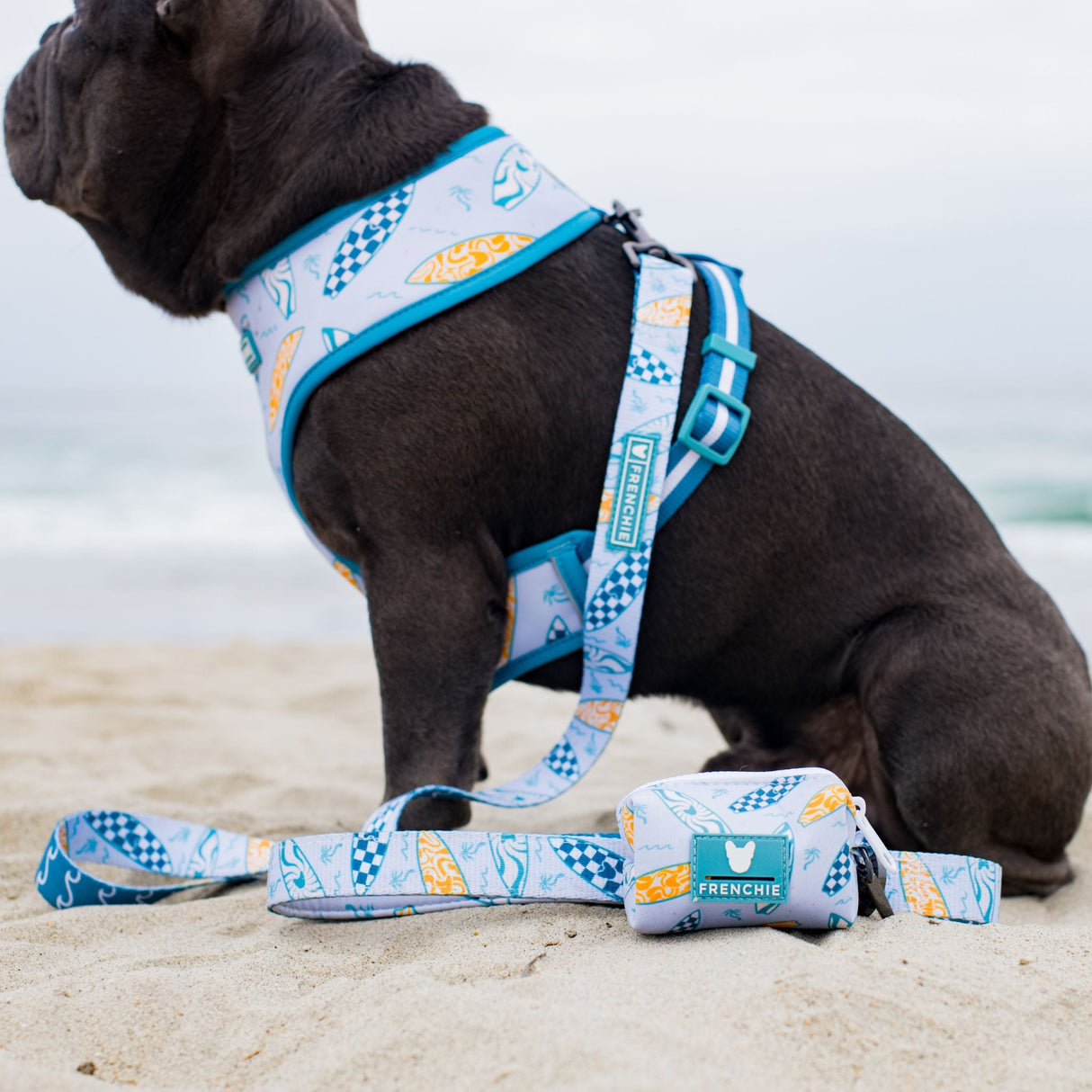 Frenchie Comfort Leash - Surfboard from Frenchie Bulldog