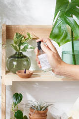 Organic Pillow Mist / Aromatherapy  / Relaxing Essential Oils / Gentle Sleep / Butter Me Up Organics  from Butter Me Up Organics