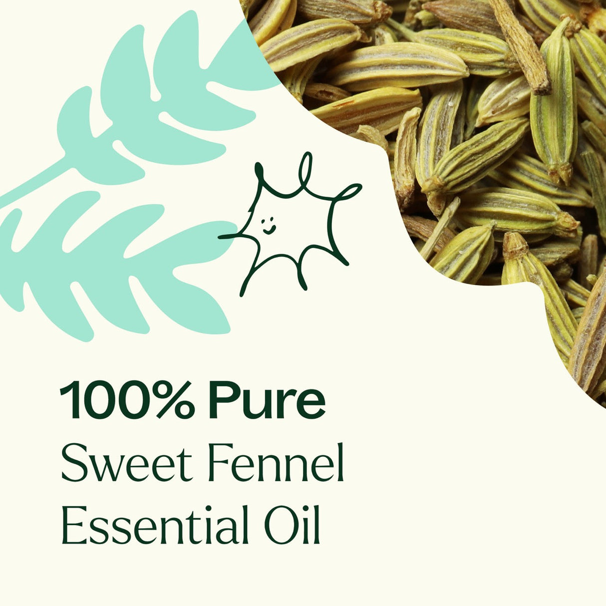 Sweet Fennel Essential Oil from Plant Therapy