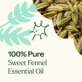 Sweet Fennel Essential Oil from Plant Therapy