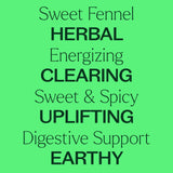 Sweet Fennel Essential Oil from Plant Therapy