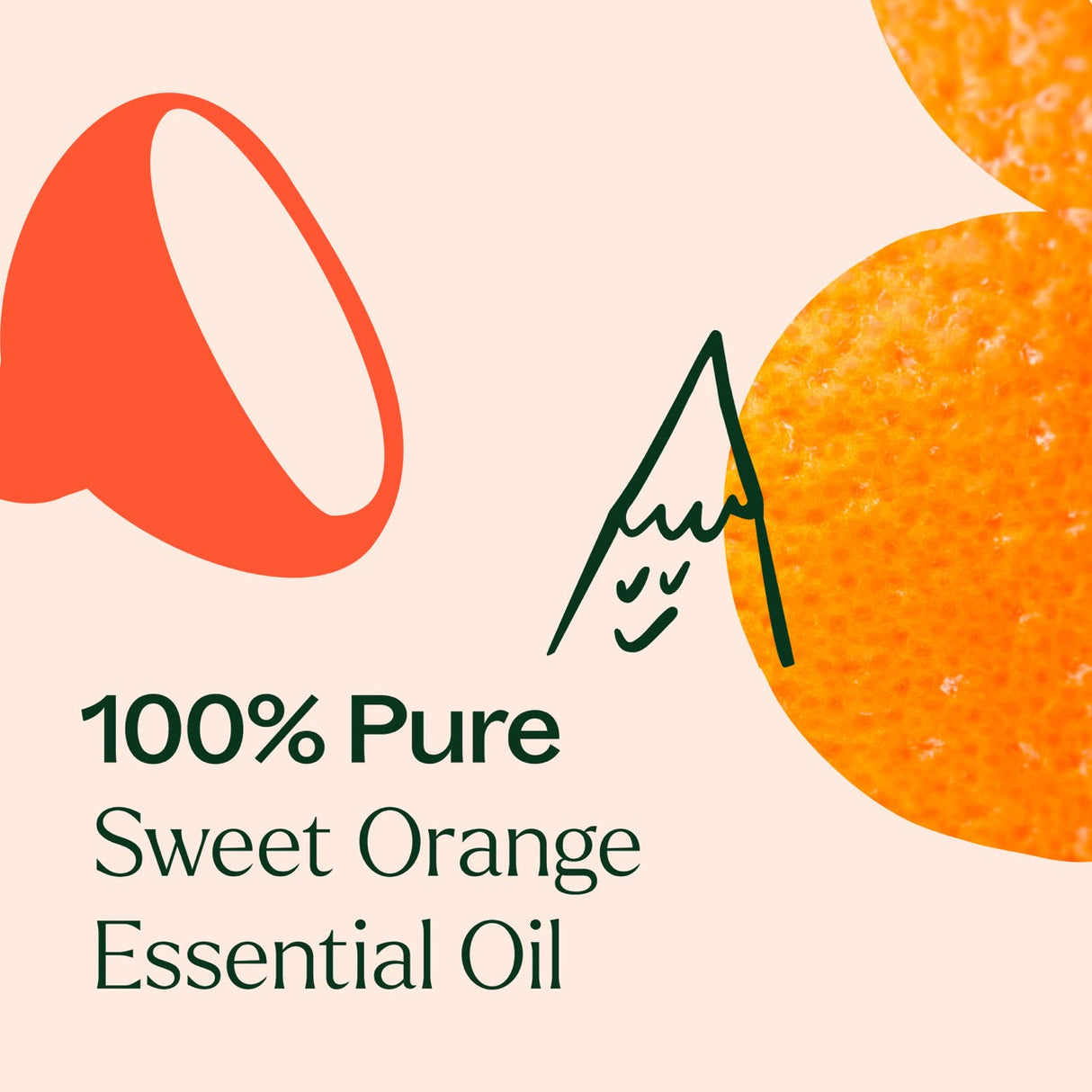 Sweet Orange Essential Oil from Plant Therapy