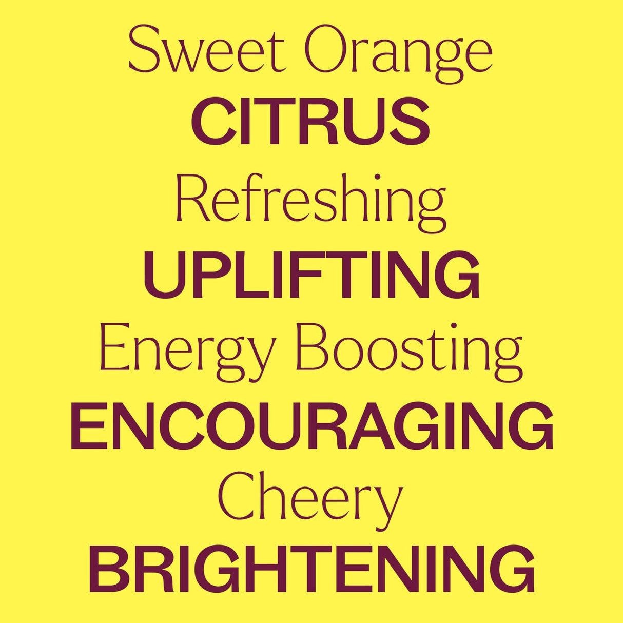 Sweet Orange Essential Oil from Plant Therapy