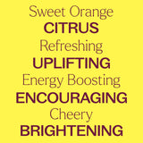 Sweet Orange Essential Oil from Plant Therapy