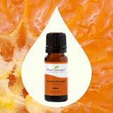 Citrus Season from Plant Therapy