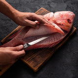 Bushcraft Fillet Knife From The Cooking Guild