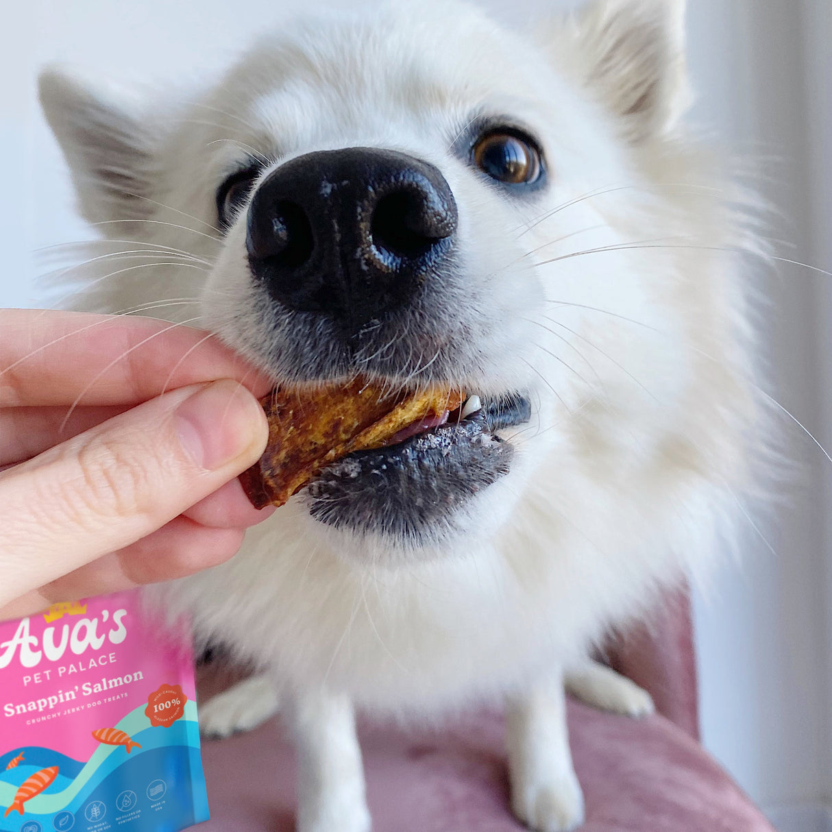 Crunchy Jerky Dog Treats - Snappin' Salmon from Ava's Pet Palace