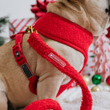 Frenchie Duo Reversible Harness - Teddy Red from Frenchie Bulldog