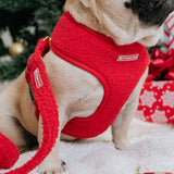 Frenchie Duo Reversible Harness - Teddy Red from Frenchie Bulldog