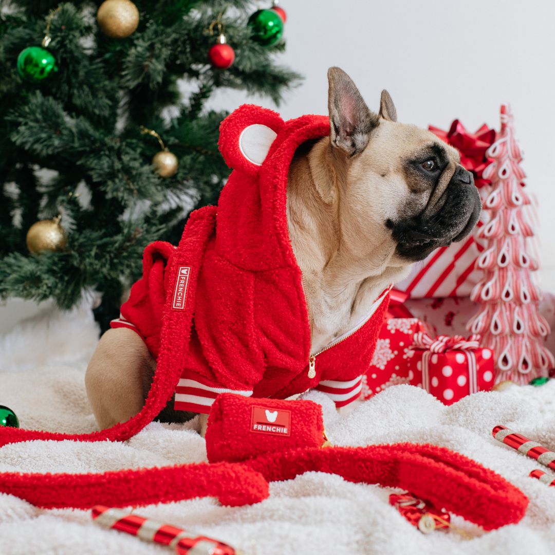 Frenchie Dog Hoodie - Teddy Red from Frenchie Bulldog