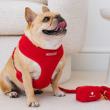 Frenchie Duo Reversible Harness - Teddy Red from Frenchie Bulldog