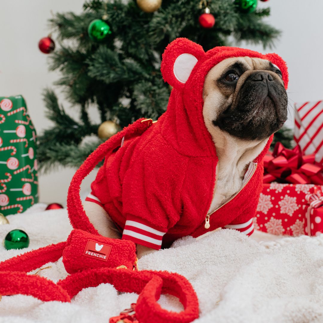 Frenchie Dog Hoodie - Teddy Red from Frenchie Bulldog