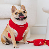 Frenchie Duo Reversible Harness - Teddy Red from Frenchie Bulldog