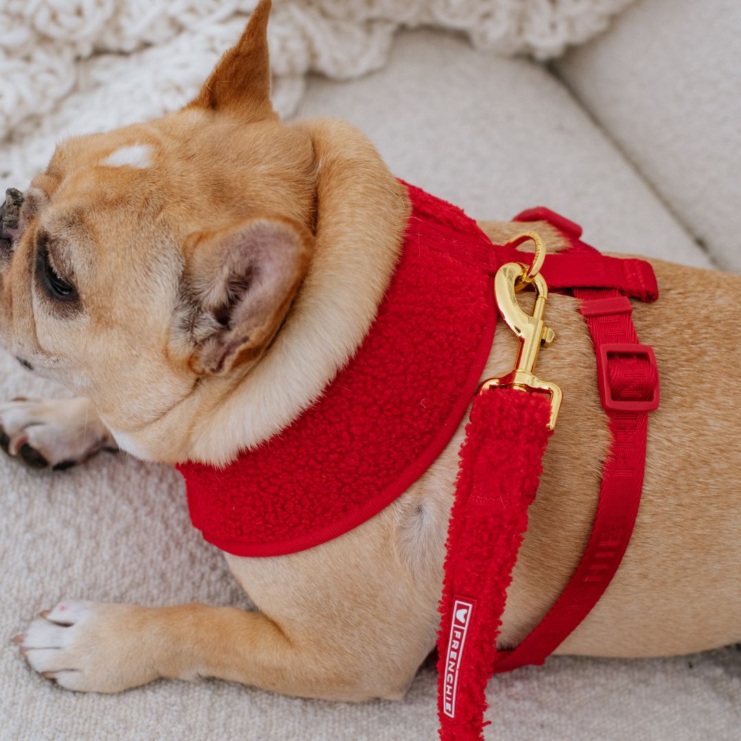 Frenchie Duo Reversible Harness - Teddy Red from Frenchie Bulldog