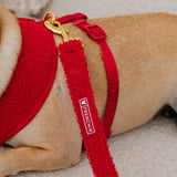 Frenchie Duo Reversible Harness - Teddy Red from Frenchie Bulldog