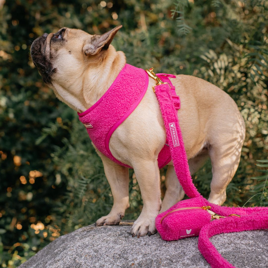 Frenchie Comfort Leash - Teddy Hot Pink from Frenchie Bulldog
