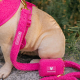 Frenchie Comfort Leash - Teddy Hot Pink from Frenchie Bulldog