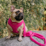 Frenchie Comfort Leash - Teddy Hot Pink from Frenchie Bulldog