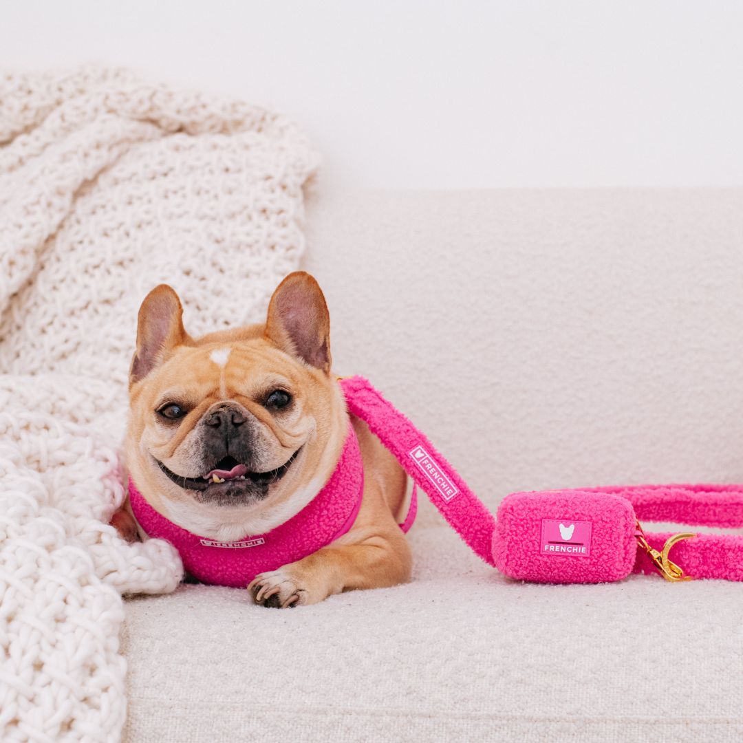 Frenchie Comfort Leash - Teddy Hot Pink from Frenchie Bulldog