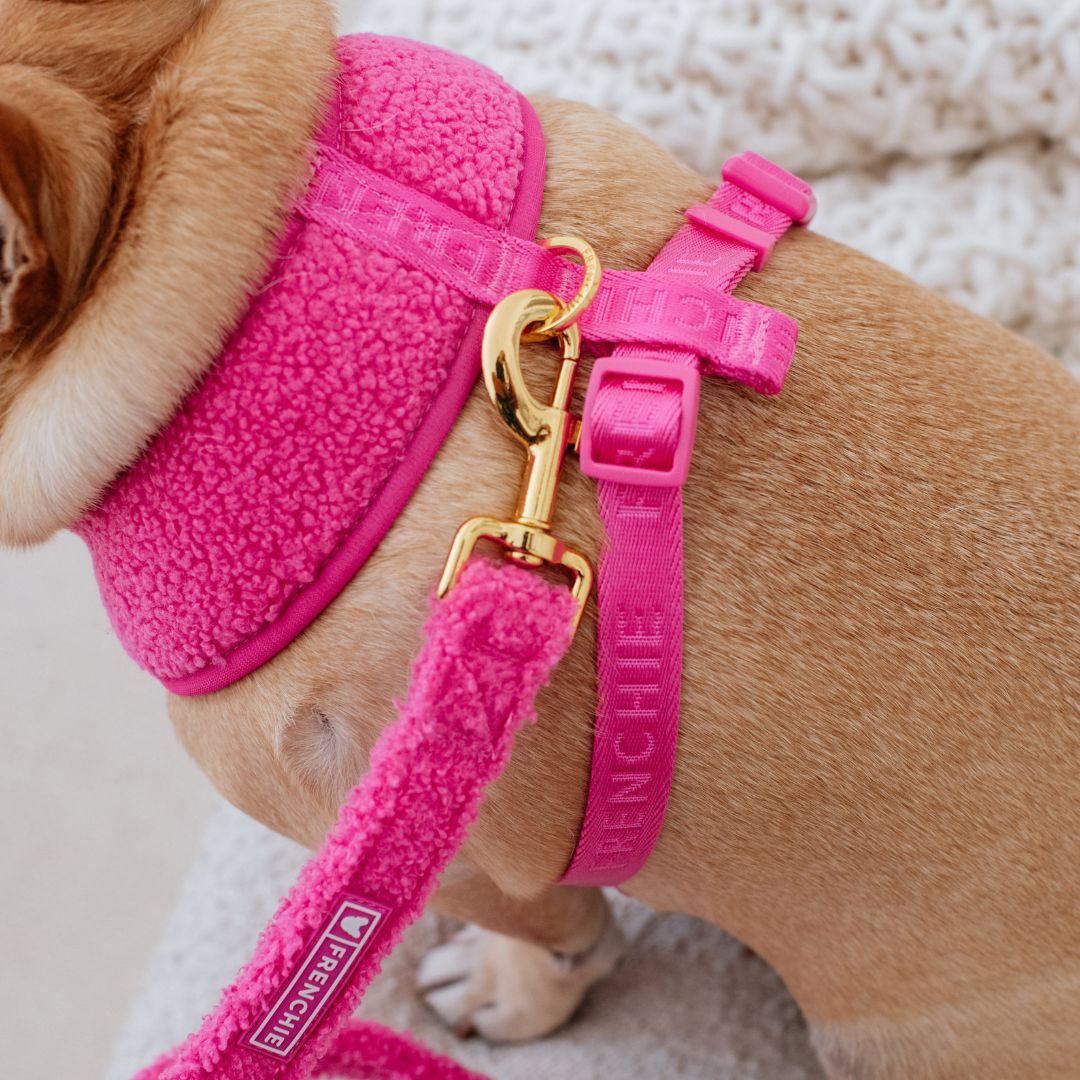 Frenchie Comfort Leash - Teddy Hot Pink from Frenchie Bulldog