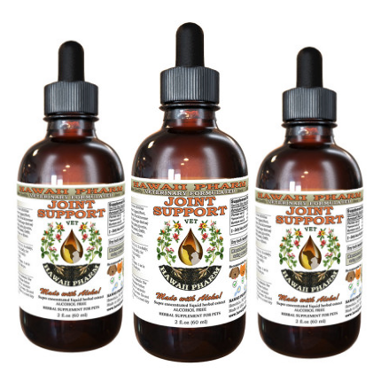 JOINT HEALTH / Joint Support Remedy from ReNewedPet