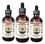 JOINT HEALTH / Joint Support Remedy from ReNewedPet
