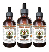 NERVOUS SYSTEM SUPPORT / Calming Remedy (nerve relax) from ReNewedPet