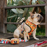 Frenchie Duo Reversible Harness - Taco Tuesday- Orange from Frenchie Bulldog