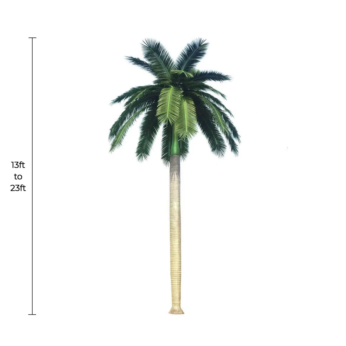 Tall Artificial Royal Palm Tree (13ft - 23ft) UV Resistant (10-12 Week Back Order) from Designer Plants USA