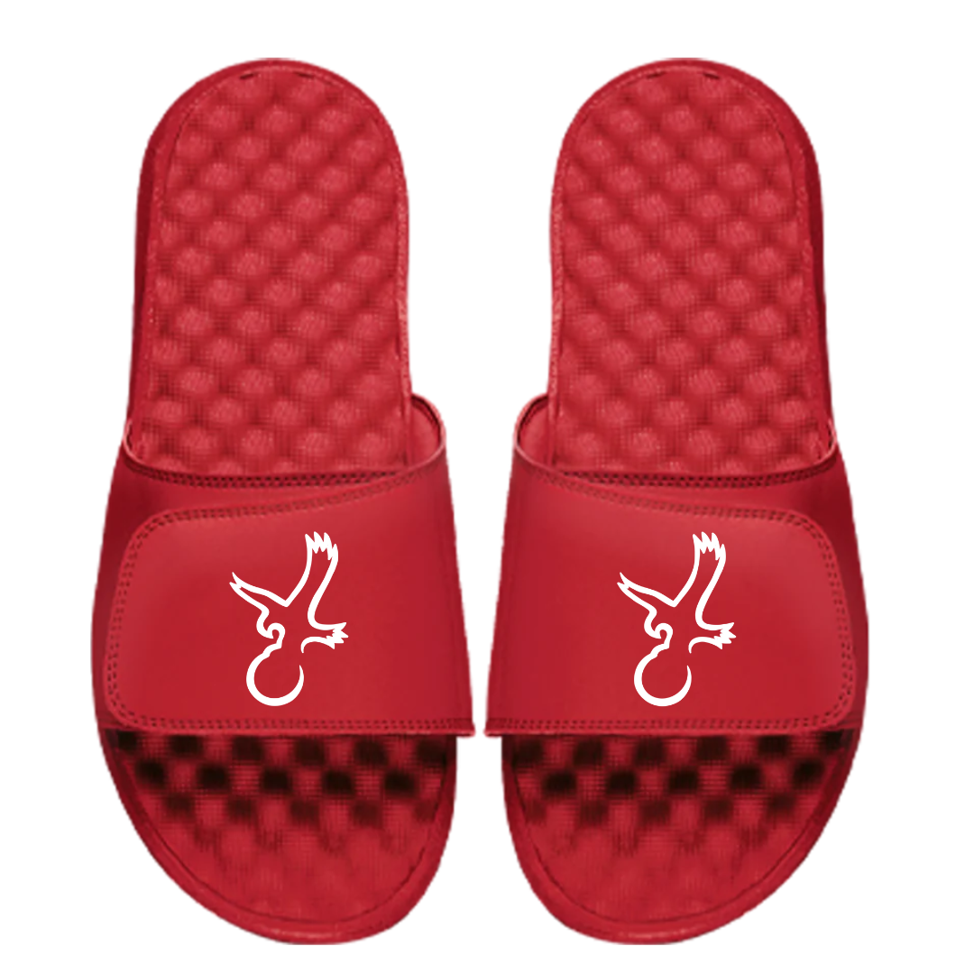 Talon Eagle Slides from Talon Golf LLC