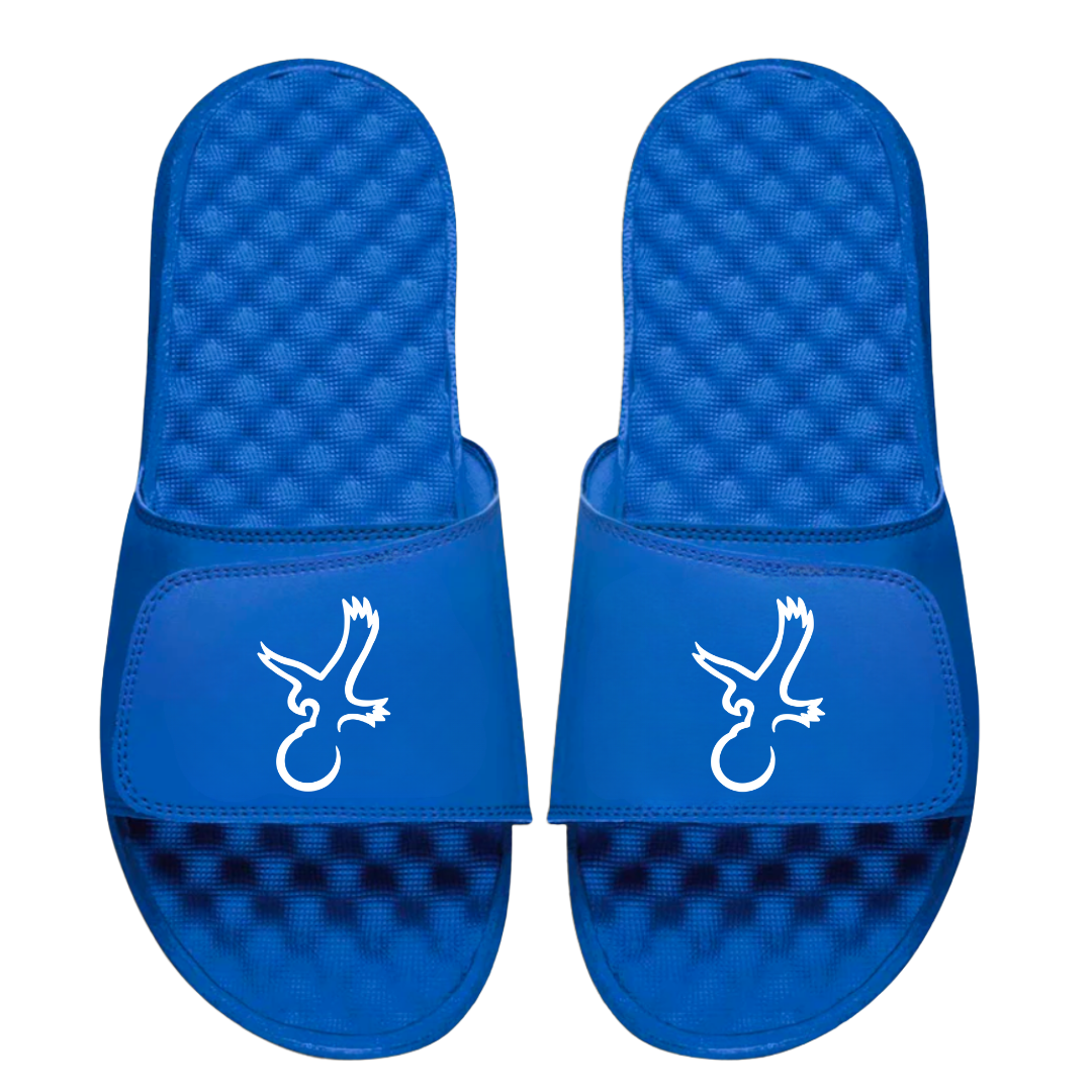 Talon Eagle Slides from Talon Golf LLC