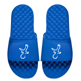 Talon Eagle Slides from Talon Golf LLC