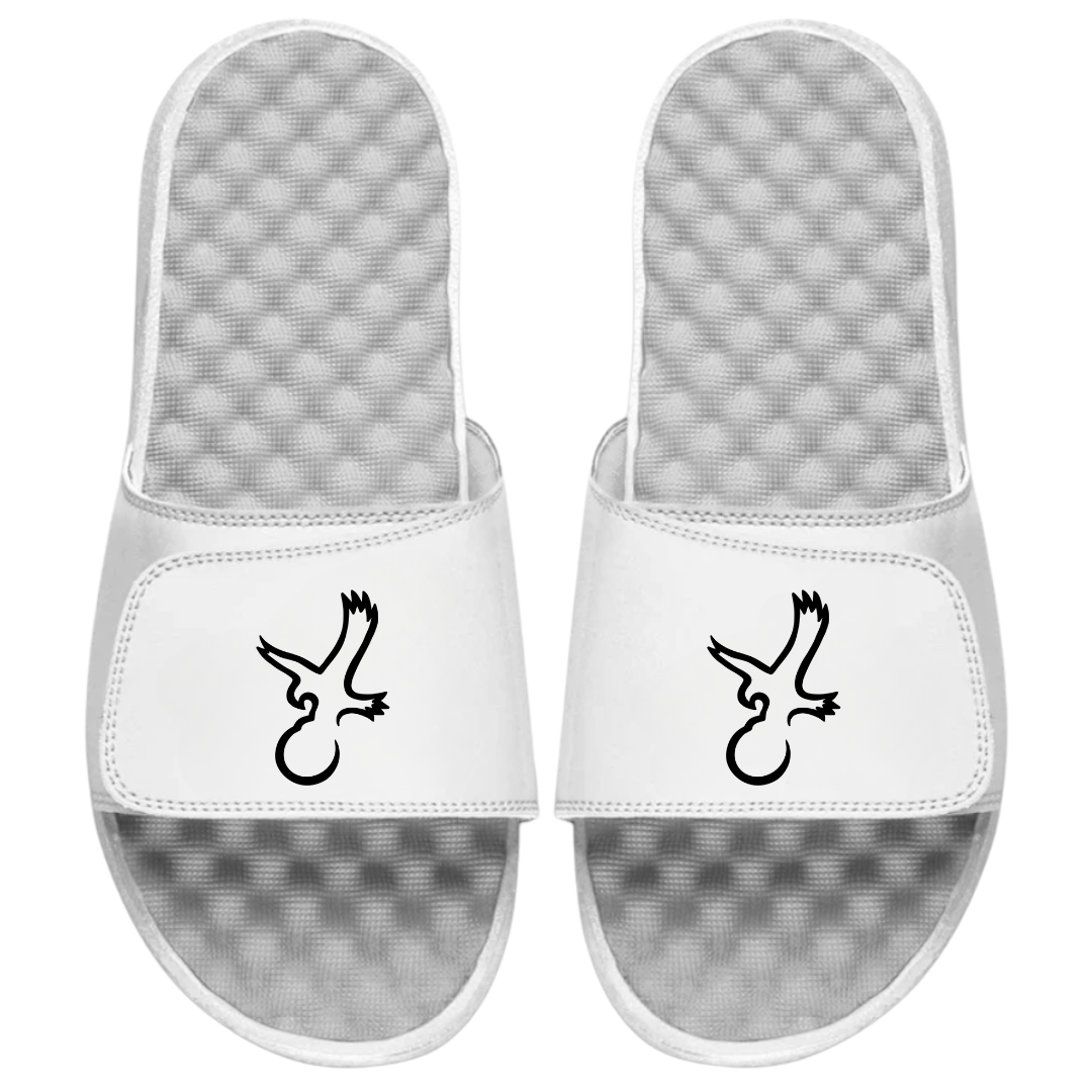 Talon Eagle Slides from Talon Golf LLC