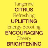 Tangerine Essential Oil from Plant Therapy