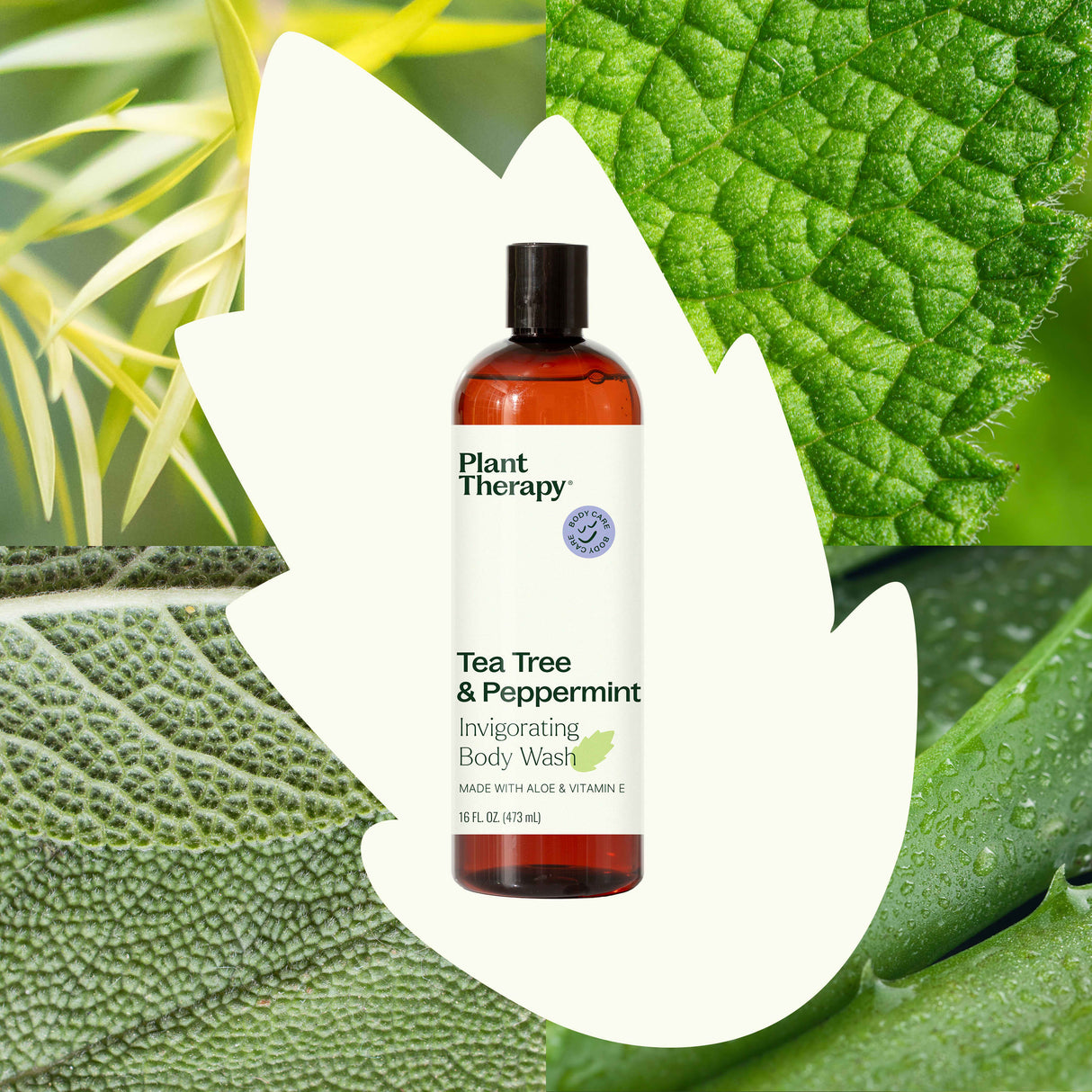 Tea Tree & Peppermint Body Wash from Plant Therapy