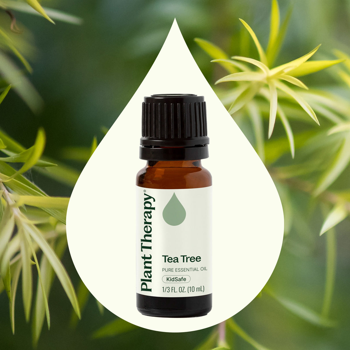 Tea Tree Essential Oil from Plant Therapy