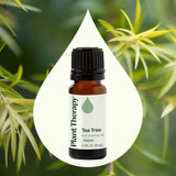 Tea Tree Essential Oil from Plant Therapy
