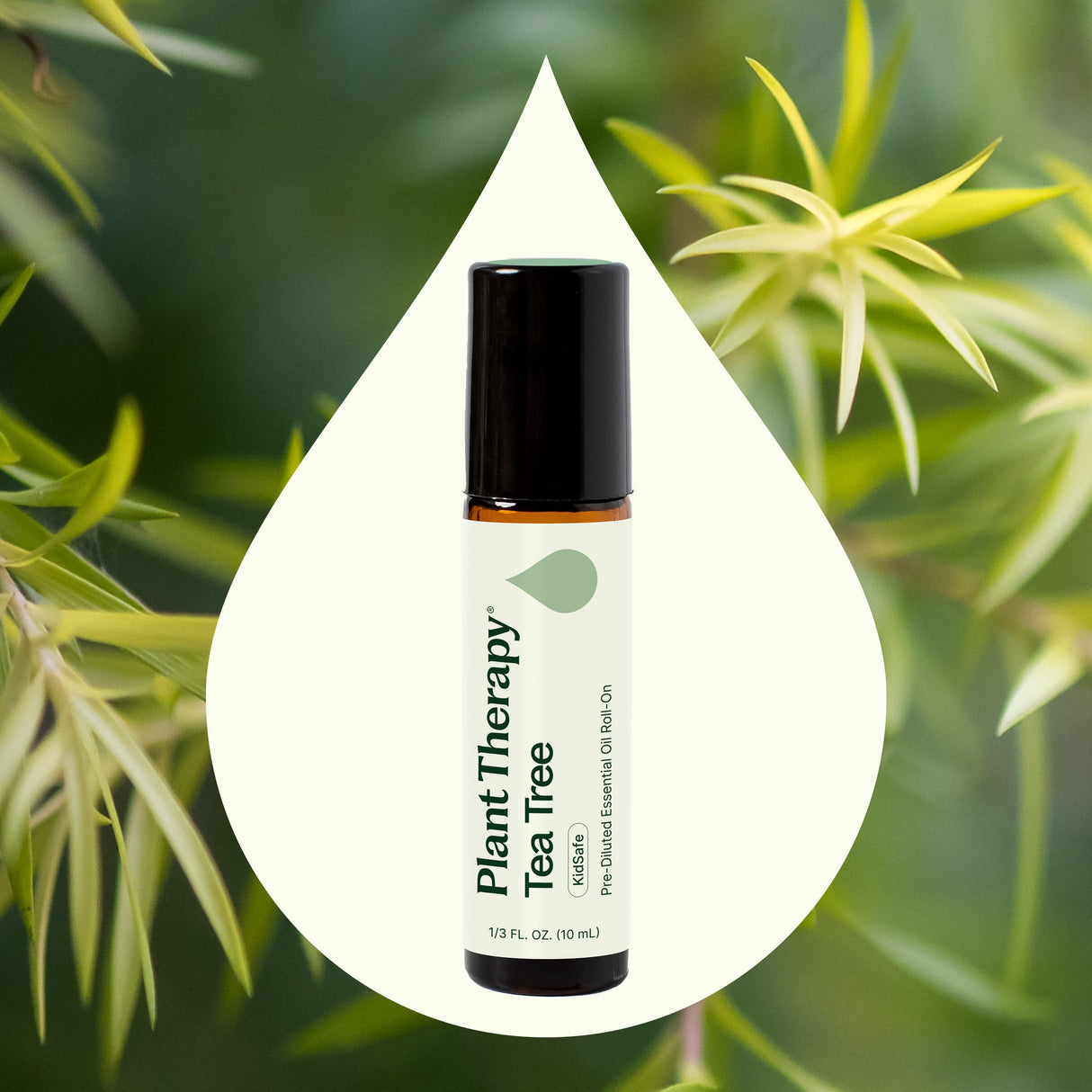 Tea Tree Essential Oil Pre-Diluted Roll-On from Plant Therapy