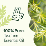 Tea Tree Essential Oil from Plant Therapy
