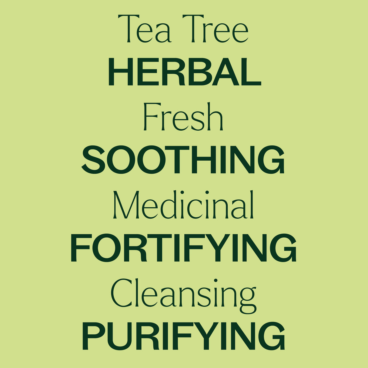 Tea Tree Essential Oil Pre-Diluted Roll-On from Plant Therapy