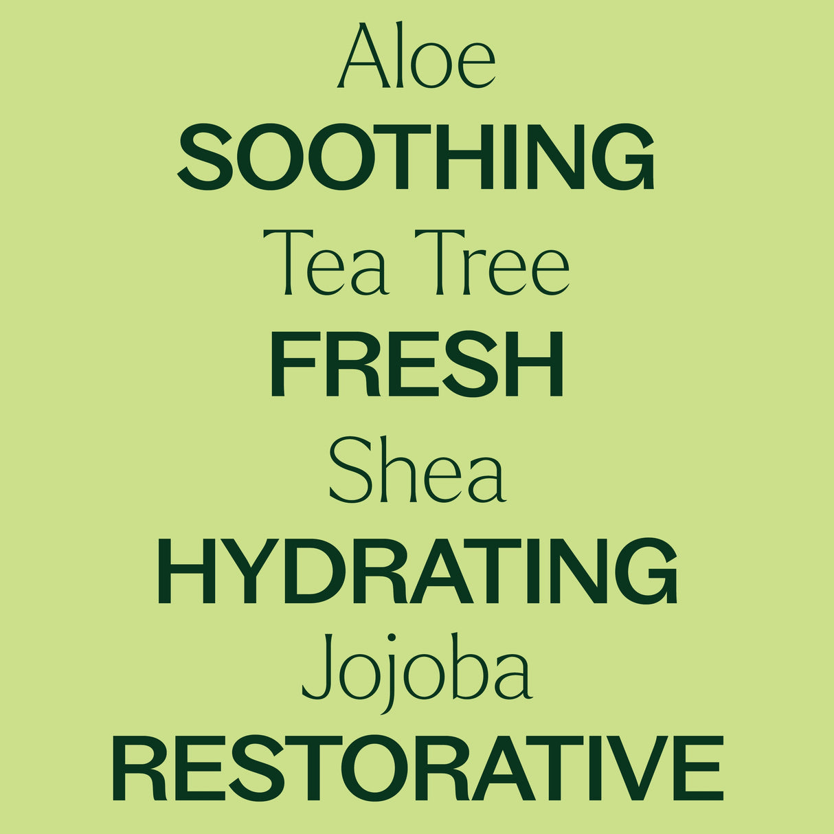 Tea Tree Body Lotion with Aloe and Shea from Plant Therapy