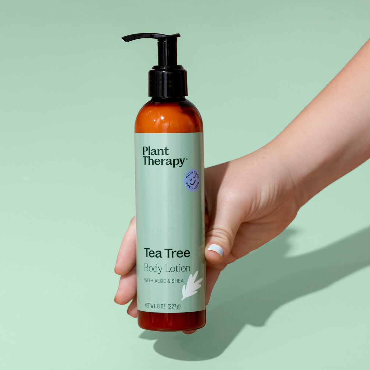 Tea Tree Body Lotion with Aloe and Shea from Plant Therapy