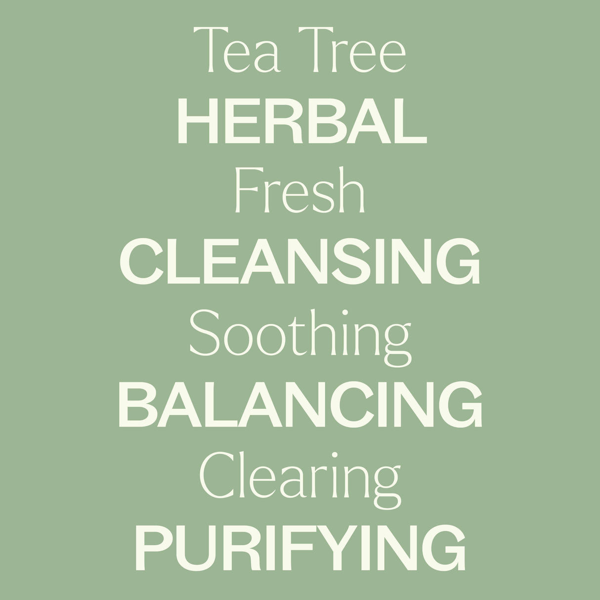 Tea Tree Hydrosol from Plant Therapy