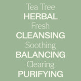 Tea Tree Hydrosol from Plant Therapy